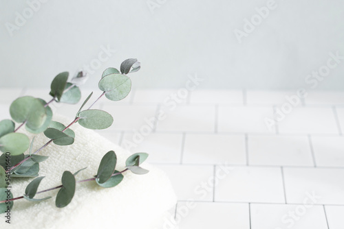 美容　スキンケア　背景　タオル　ナチュラル　植物　コピースペース