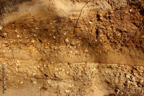 Morainic deposits of stones and pebbles in Quaternary sand photo