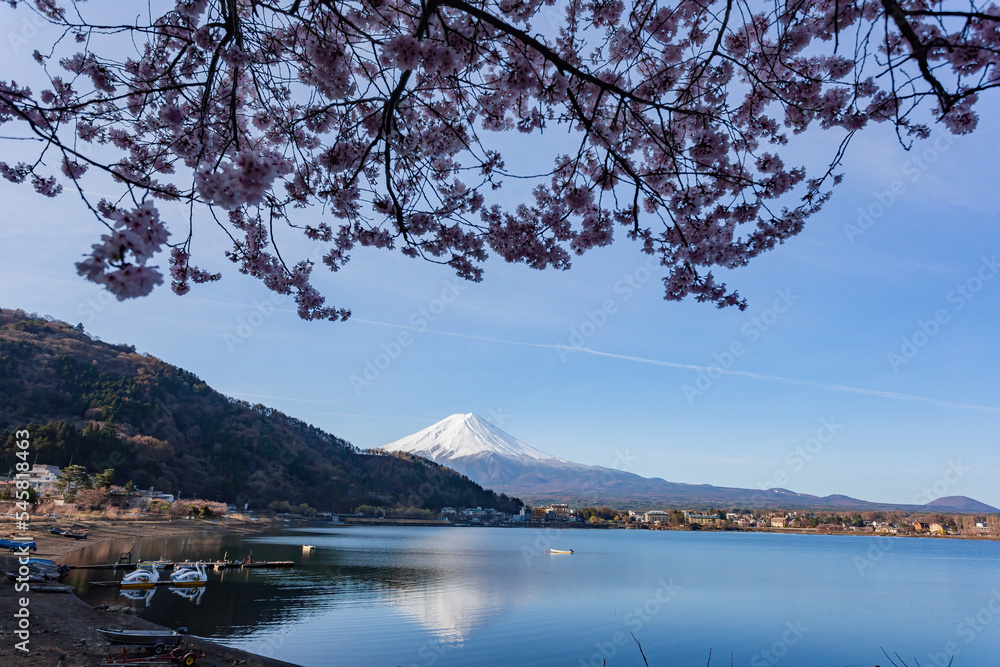 Sunny high angle view of the Mt. Fuji with cherry blossom