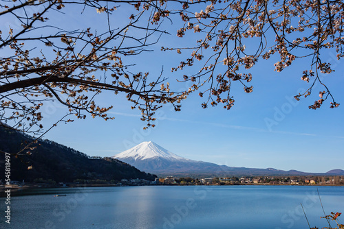 Sunny high angle view of the Mt. Fuji with cherry blossom