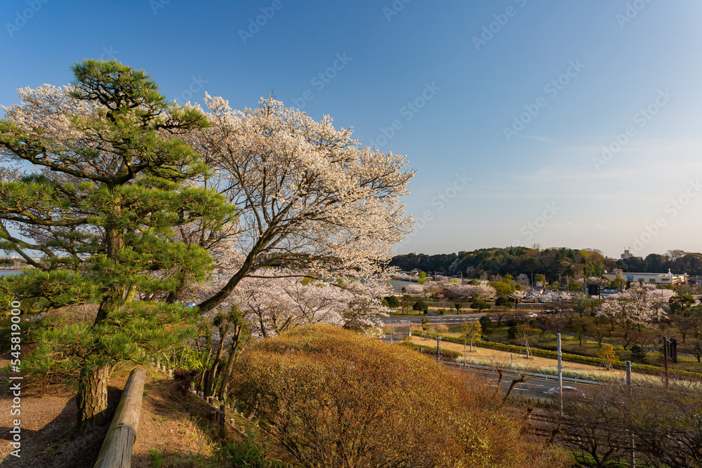 Fototapeta premium Beautiful landscape along the Kairakuen