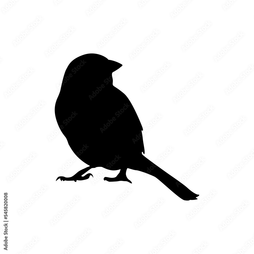 Obraz premium Bird silhouette vector
