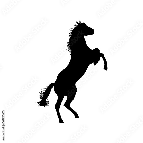 Fototapeta Naklejka Na Ścianę i Meble -  Prancing horse silhouette vector