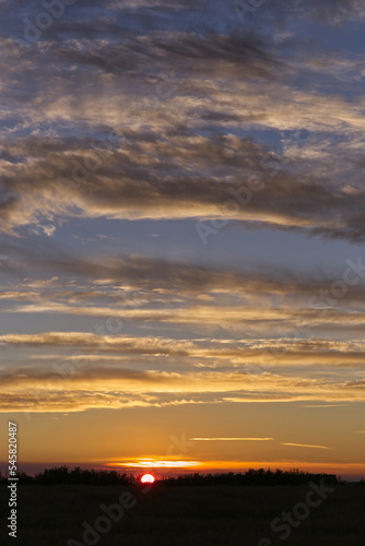 Summer Sunset over a Wheat Field