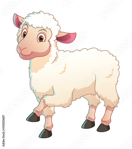 Little White Sheep Cartoon Animal Illustration photo
