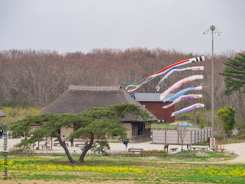 Beautiful flower blossom near the Sato no Ie