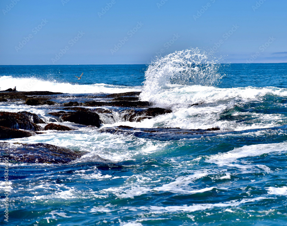 Natural Ocean Backgrounds. Natural Ocean Backgrounds.