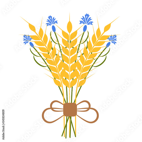 Blue cornflowers and yellow wheat ears bouquet