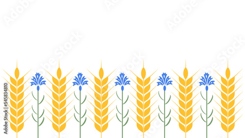 Yellow wheat ears and blue cornflowers forming bottom  border