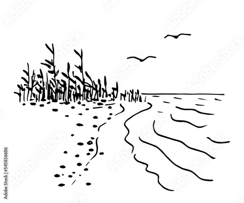 Simple black outline vector drawing. Wild beach, pebbles and sand, waves. Reeds on the lake, seagulls in the sky. Sketch in ink.