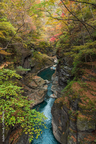 群馬県吾妻郡　吾妻渓谷の紅葉