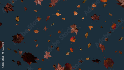 Autumn themed Wallpaper, with Leaves against Blue Grey Color. Seasonal Banner with copy-space.