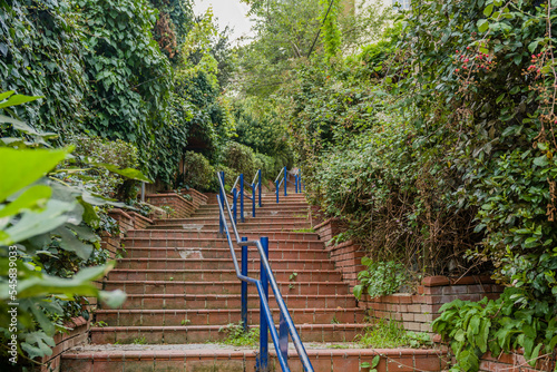 Stairway through residential area with walls covered with plants and vines. © aminkorea