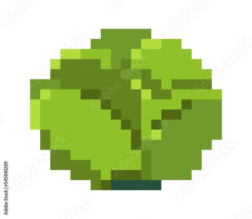 Pixel cabbage vegetable, product and greenery