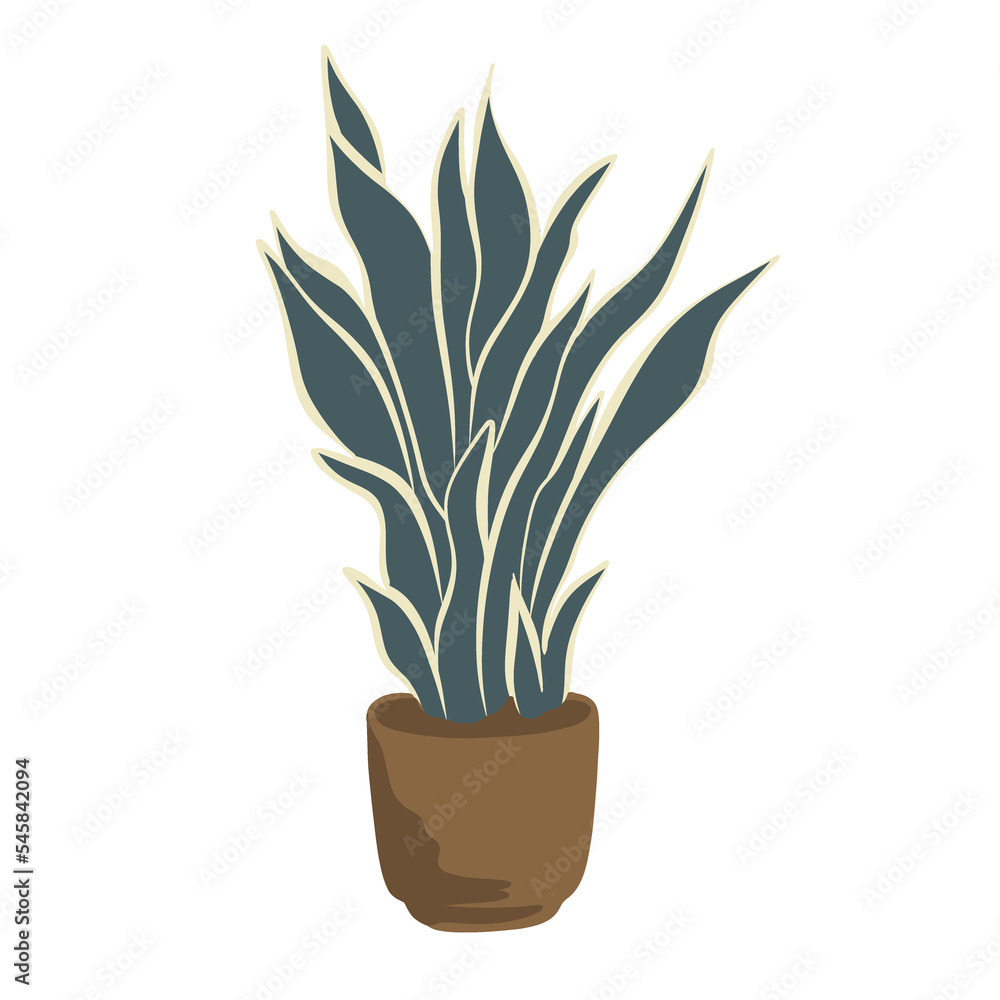 Beautiful indoor plant in a pot.Beautiful brown ceramic pot.Plant with long leaves Beautiful indoor plant in a pot.Beautiful brown ceramic pot.Plant with long leaves