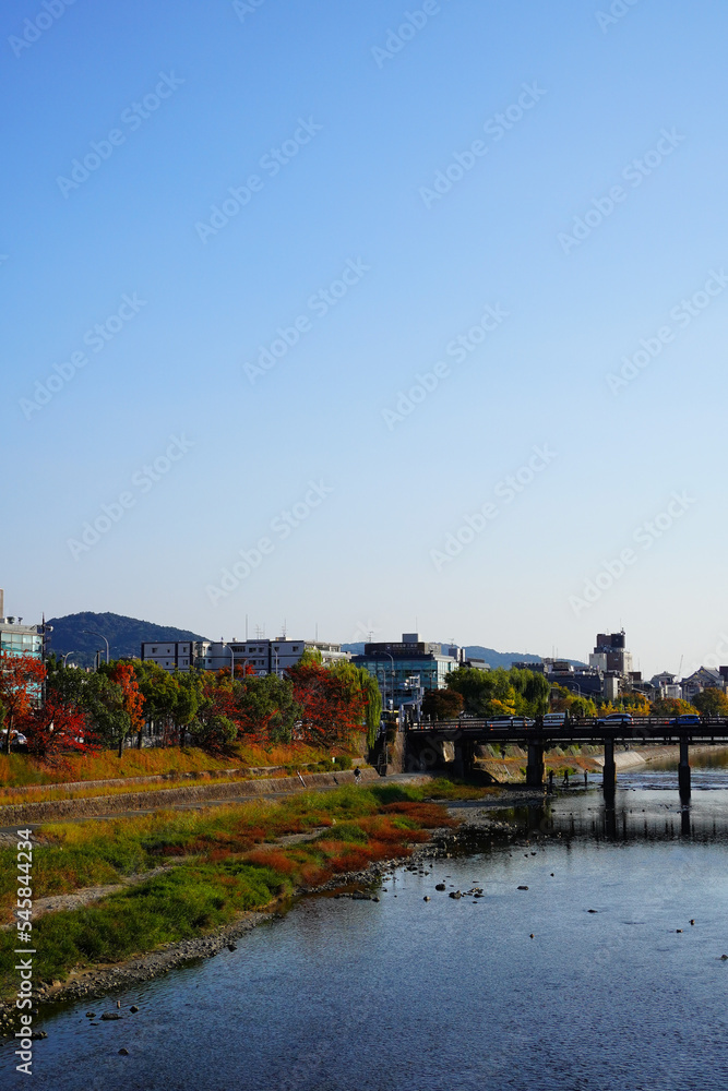 Obraz premium 京都 鴨川の紅葉
