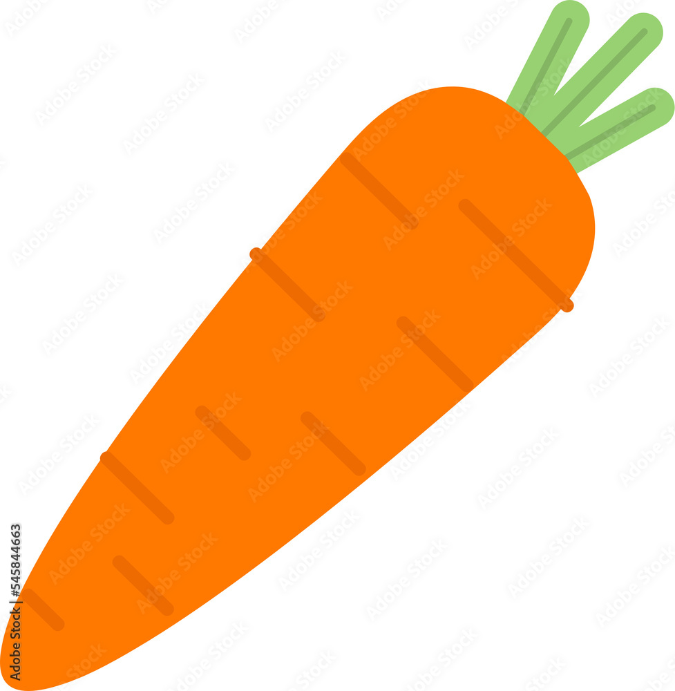 Hand drawn style fruit carrot Hand drawn style fruit carrot