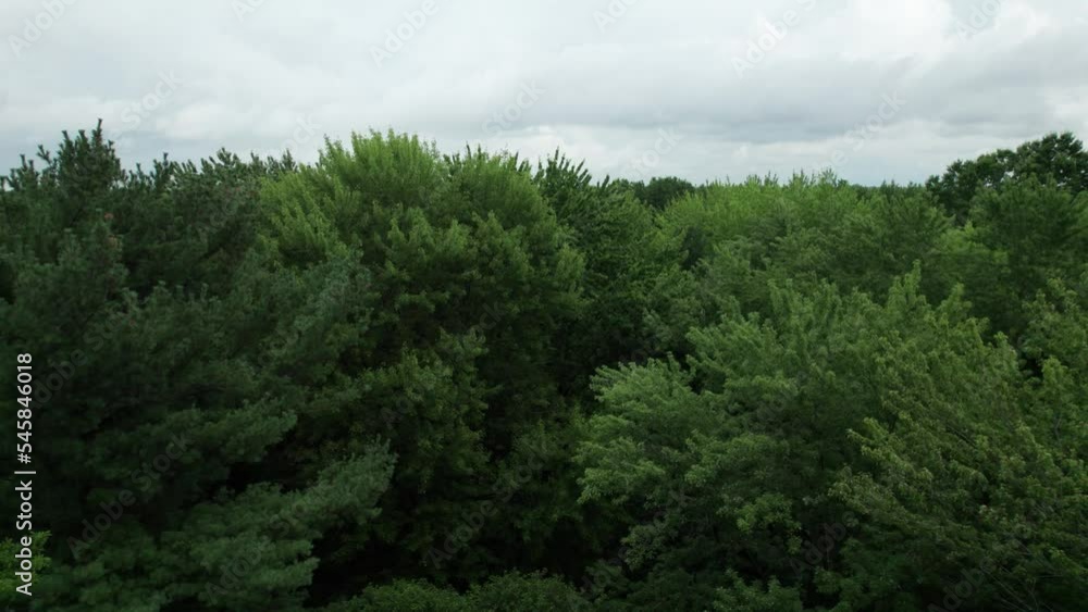 Coming Into Green Tree Rising High Unveiling Superb Nature Landscape, Ohio Coming Into Green Tree Rising High Unveiling Superb Nature Landscape, Ohio