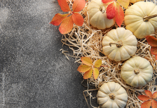 Autumn leaves and pumpkins over grey concrete background