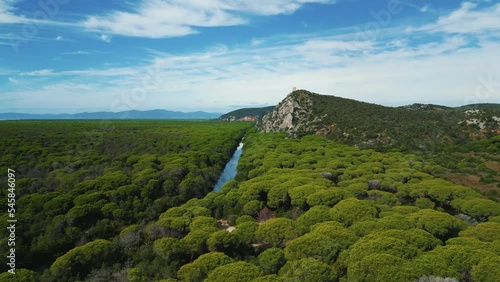 Maremma National Park in Tuscany, Italy. Green pine tree forest and a castle ruin at the coast at sunset with an island in the distance and blue sky and umbrella shaped trees. 4K UHD aerial drone
