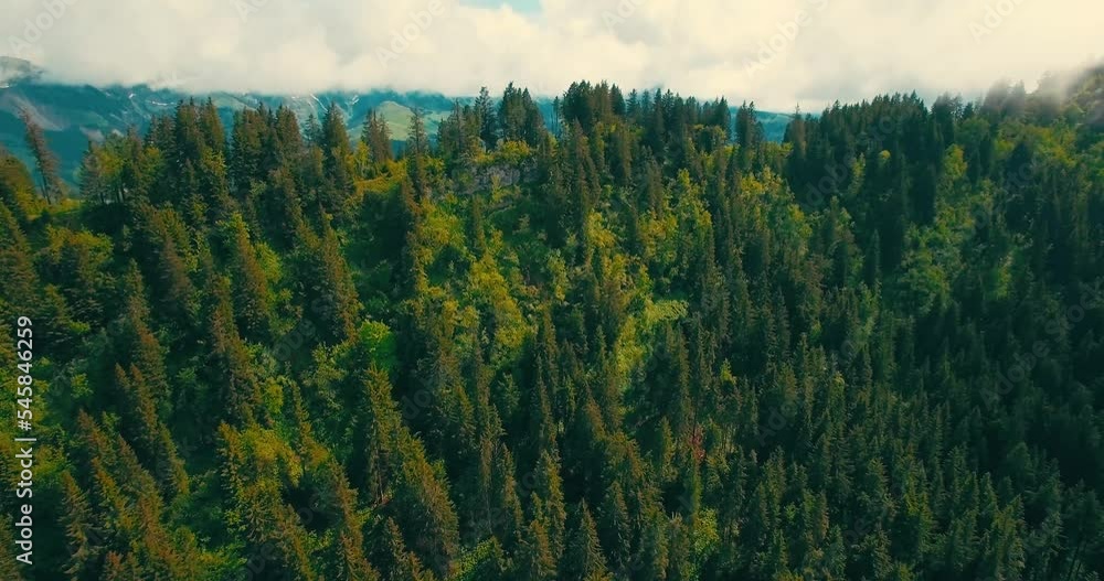 BIRDS EYE VIEW OF MOUNTAINS AND BLUE SKY #FOREST LIFE BIRDS EYE VIEW OF MOUNTAINS AND BLUE SKY #FOREST LIFE