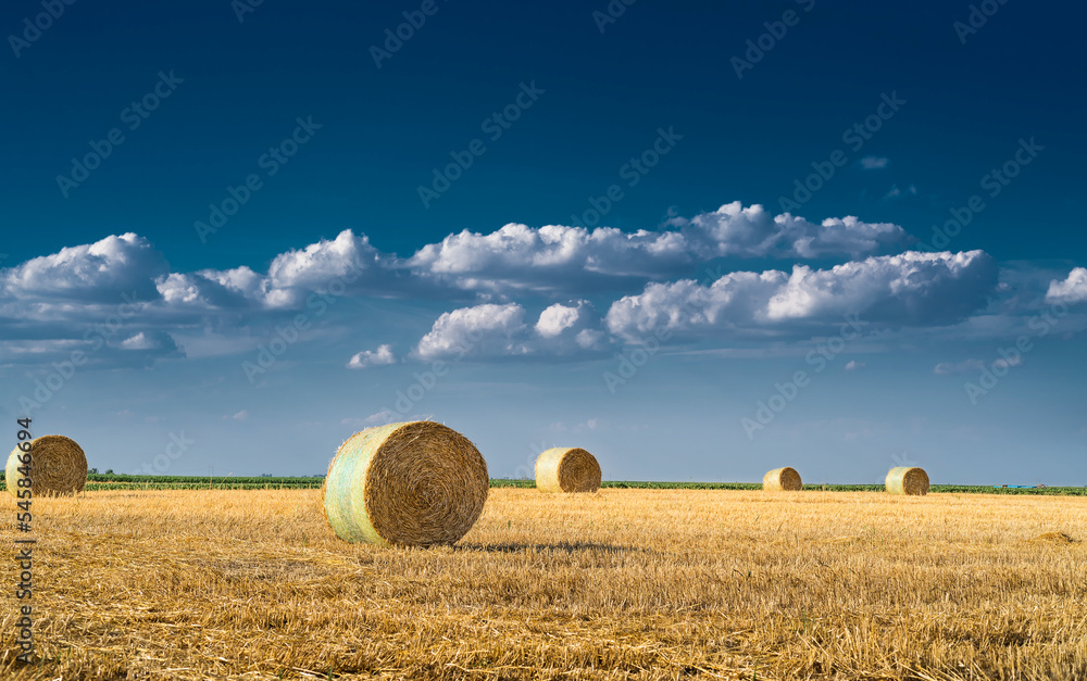 Stubble field and hay bales