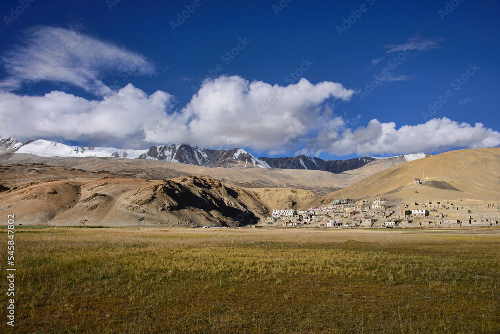 Wheat and barley fields front Korzok village, Tso Moriri Lake, Ladakh, India
