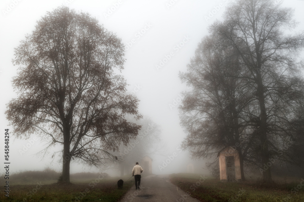 A man walking with a dog on a road in foggy autumn park in the morning