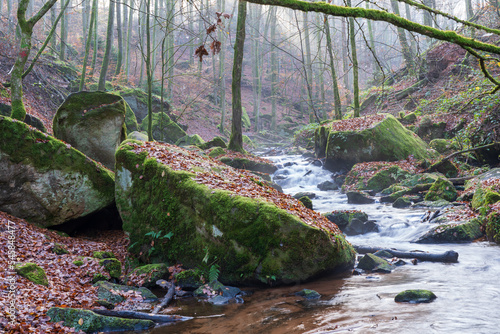 Pfalz im Herbst photo