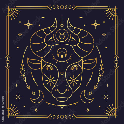 Taurus zodiac astrological horoscope golden sign dark navy card. Stylized symbol of esoteric, zodiacal astrological calendar, horoscope constellation thin line vector illustration