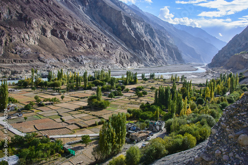 Fertile fields in the Balti village of Turtuk, along the Shyok River and Karakoram Range, Ladakh, India
