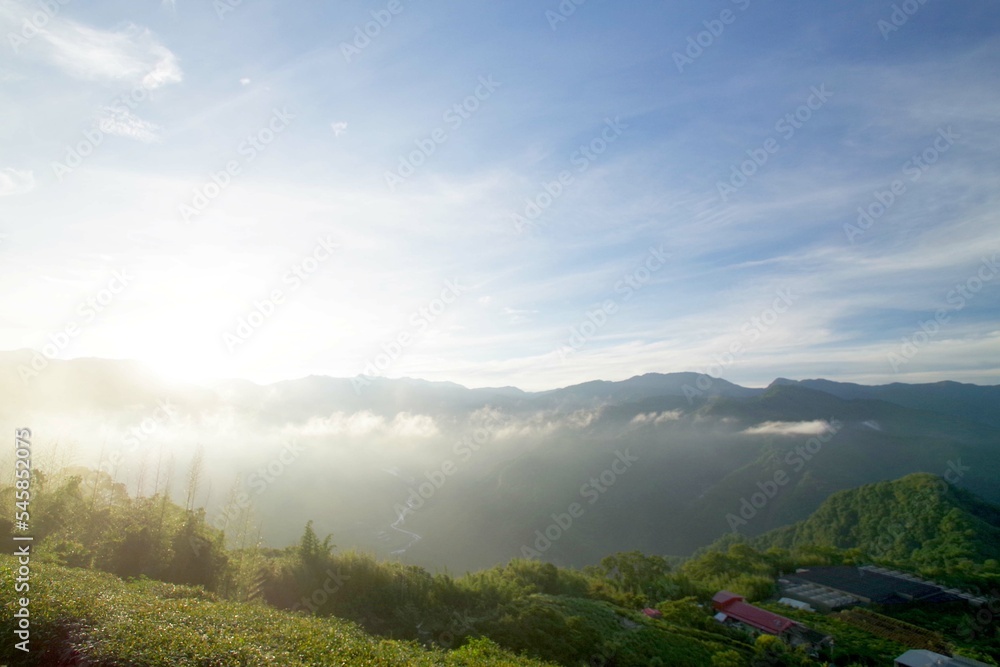 台湾　阿里山山脈と茶畑の風景　日の出
