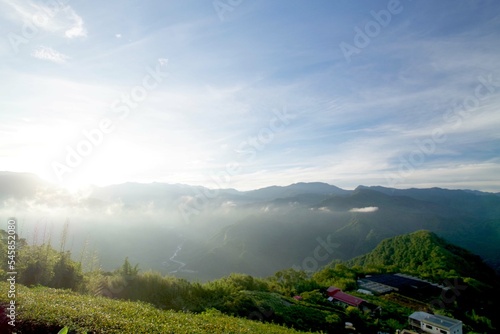 台湾 阿里山山脈と茶畑の風景 日の出 