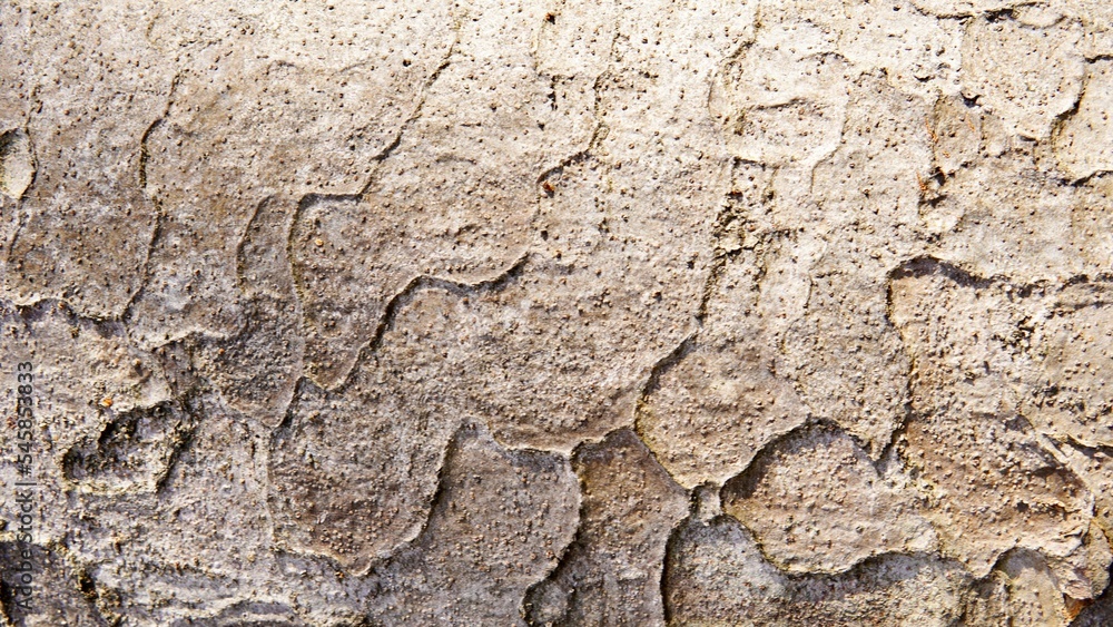 Bark close-up texture background material Bark close-up texture background material