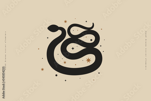 Magical black snake with stars on isolated light background. Design element for mystical cards, posters, covers, and shops. Vector illustration.