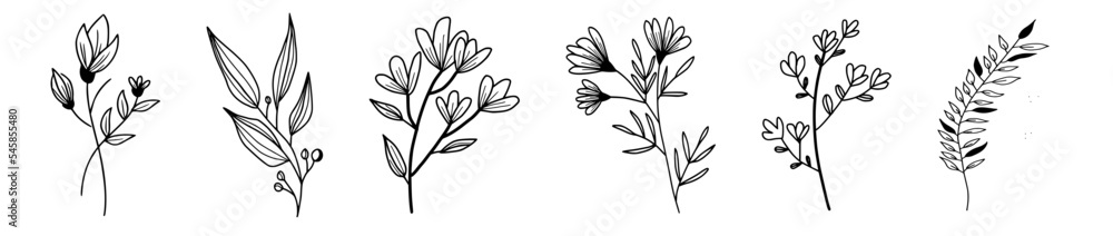 Wild flowers and herbs hand drawn set. Volume 1. Botany. Vintage flowers. Vintage vector illustration.
