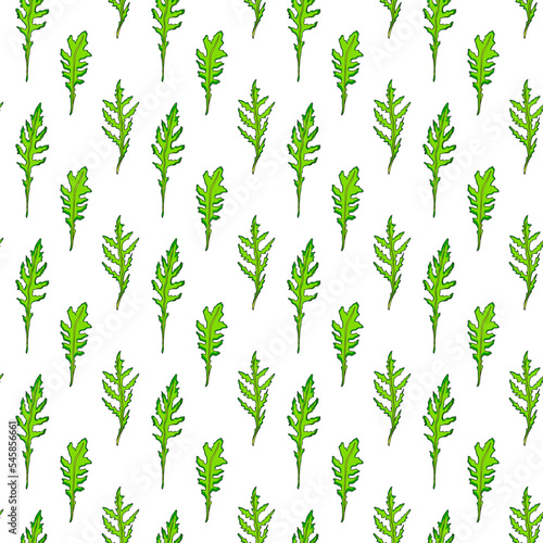 Arugula leaves on white background  vector seamless pattern.