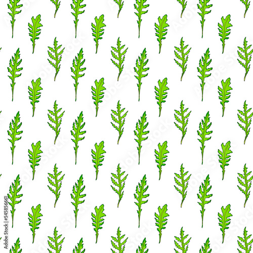 Arugula leaves on white background, vector seamless pattern.