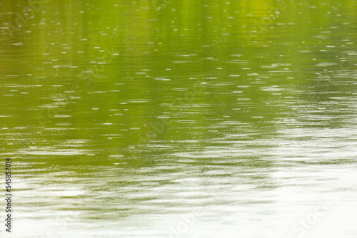 Raindrops on the surface of the water in the pond. © schankz