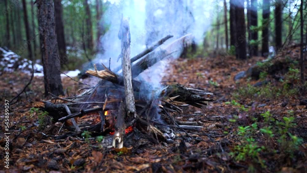 Smoking campfire in slow motion. Beautiful landscape of nature and trees. Camping in the woods. Smoking campfire in slow motion. Beautiful landscape of nature and trees. Camping in the woods.