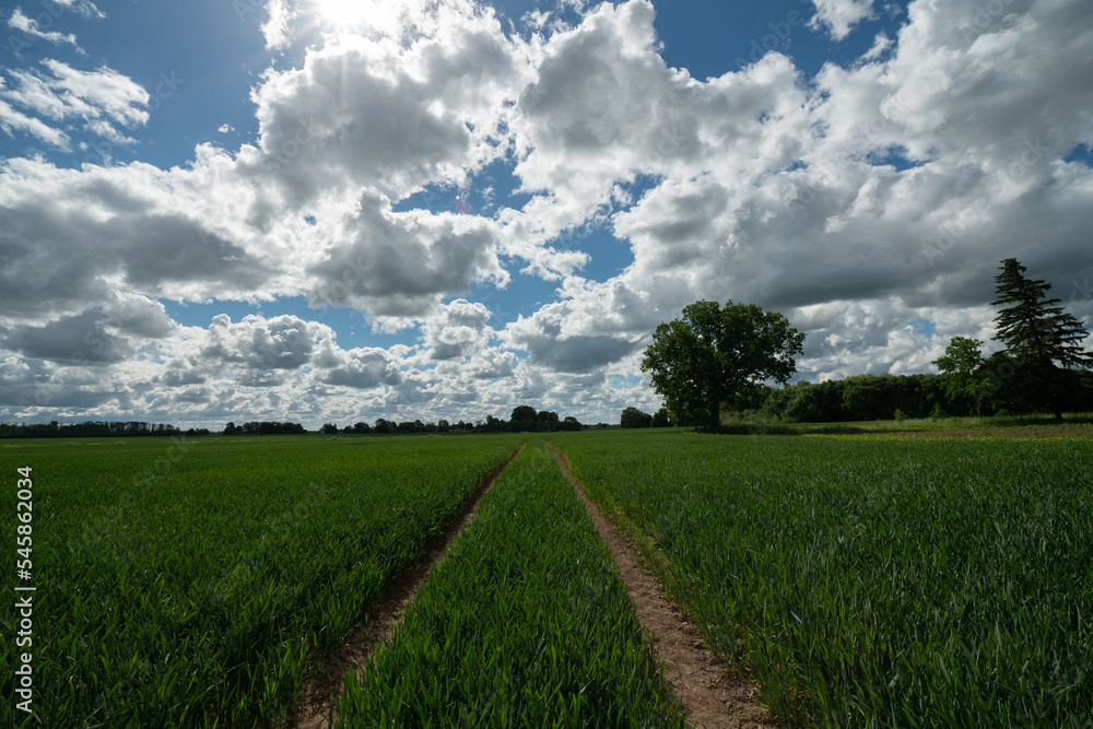 field and blue sky field and blue sky