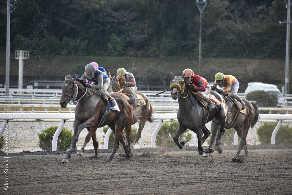 高知競馬場