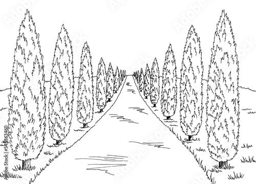 Cypress road graphic black white landscape sketch illustration vector