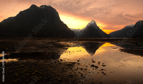 Green stone at milford sound New Zealand.