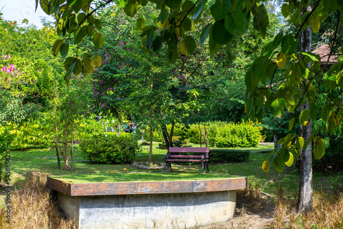 city park bench and fresh morning light