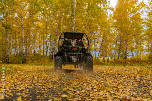 Quad motorcycles leaving through the autumn forest