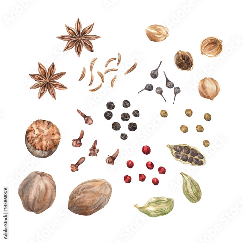 Spices Watercolor. Set. Illustration for clipart. Designed for menus, culinary blogs, packaging, textiles, web design, sites, stickers, invitations, patterns, logos. Drawn by hand.