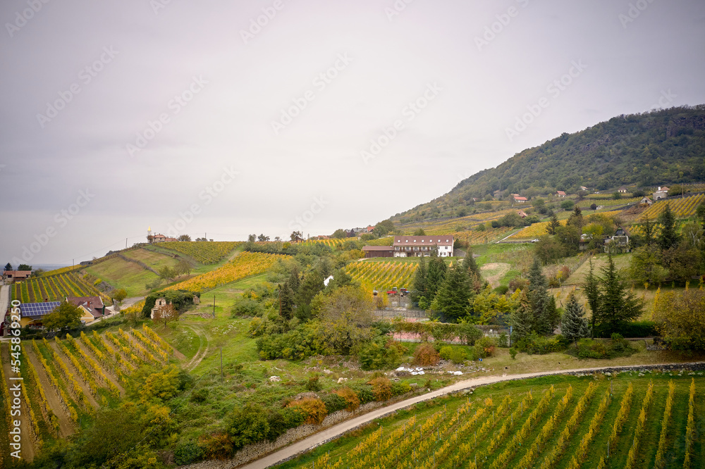 Obraz premium Somló Hill
