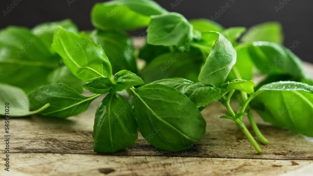 Fresh green basil leaves on a wooden board, close up view Fresh green basil leaves on a wooden board, close up view