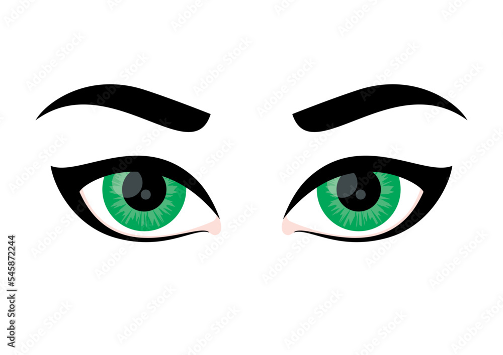 Cat eye makeup icon vector. Beautiful green female eyes and eyebrows icon vector isolated on a white background. Eyes with black eyeliner drawing Cat eye makeup icon vector. Beautiful green female eyes and eyebrows icon vector isolated on a white background. Eyes with black eyeliner drawing